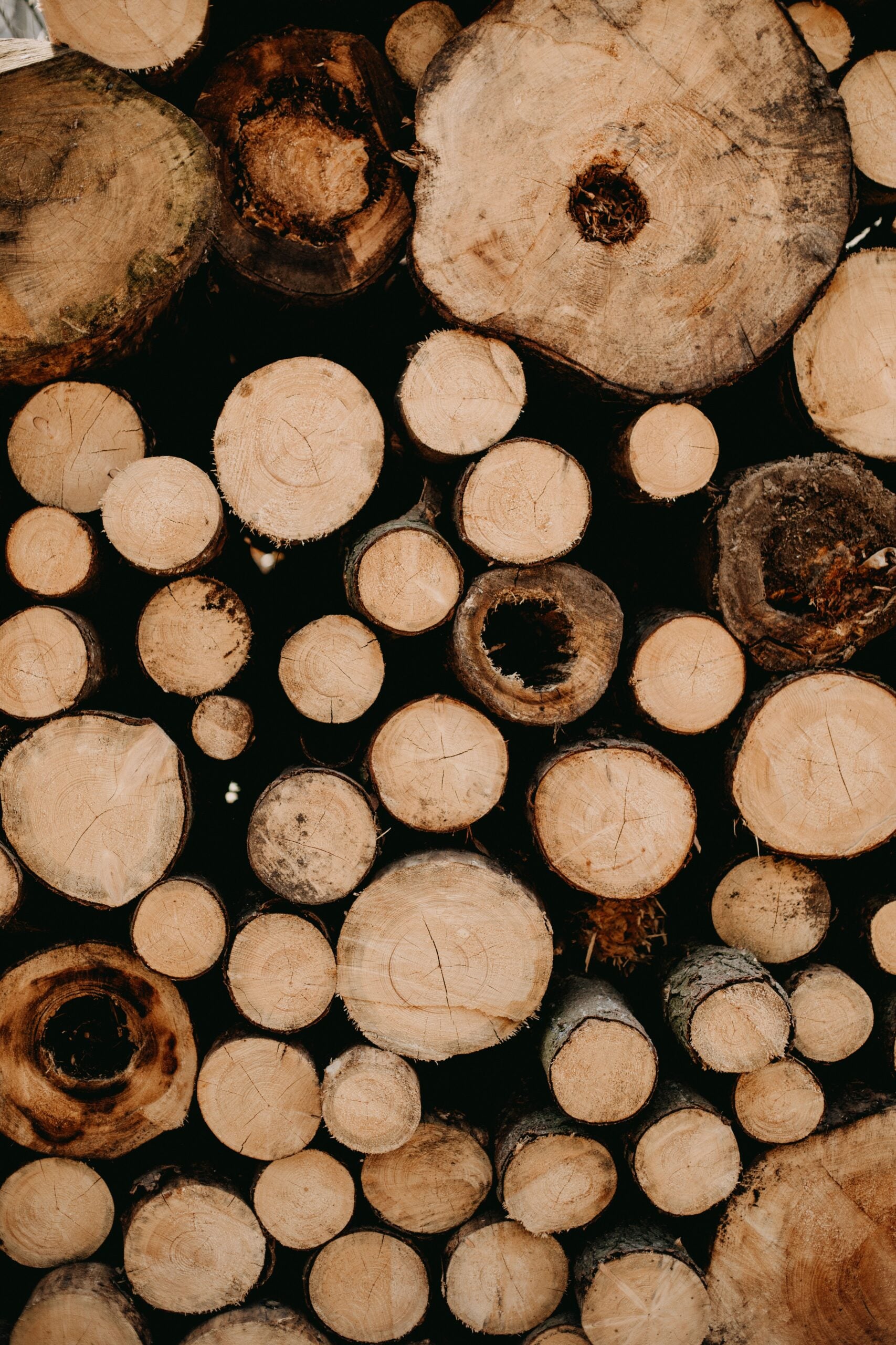 Webb Tree Services job site — Hartford County CT
