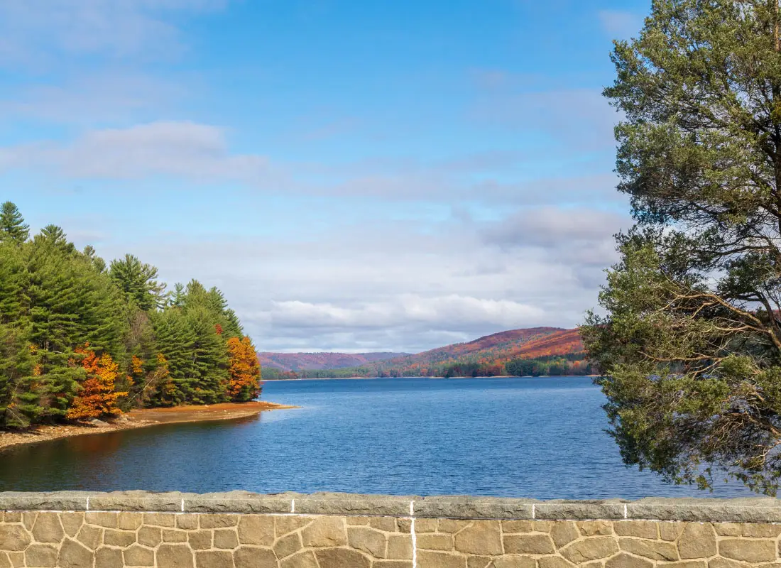 Tree-removal-service-in-Goshen-Connecticut-by-Webb-Tree-Services