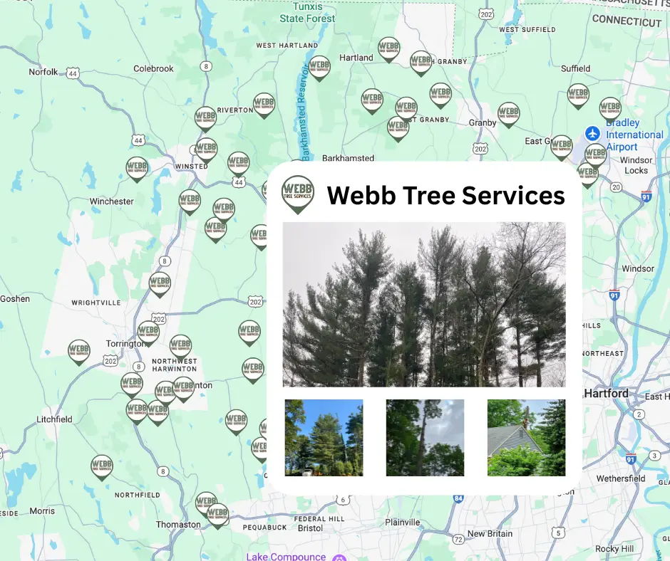 Tree removal project map showing completed jobs across Farmington Valley CT